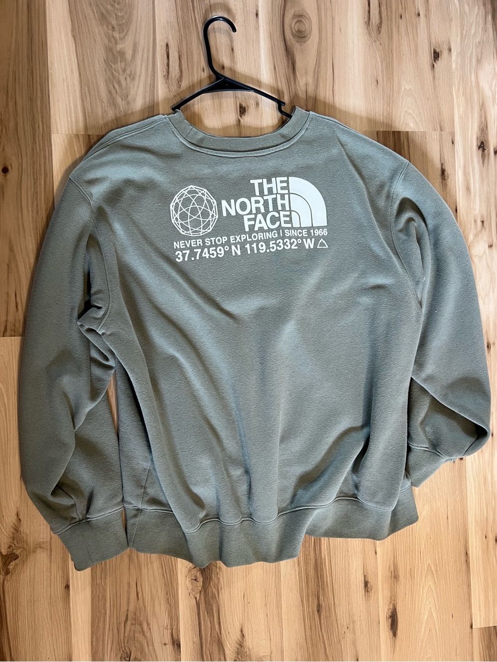 The North Face Coordinate Crewneck Sweatshirt Green with White Logo (Sage)